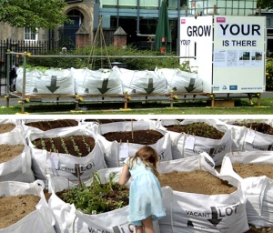 'Vacant Lot' builders bags are used to grow fruit and vegetables
